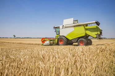 Austria, Burgenland, combine harvester on a wheat field - AIF00671