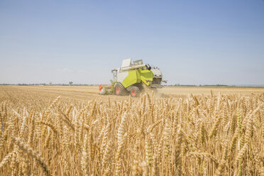 Österreich, Burgenland, Mähdrescher auf einem Weizenfeld - AIF00672