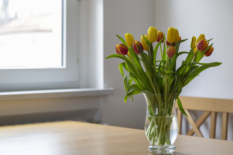 Bouquet of red and yellow tulips on dining table stock photo