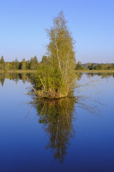 Germany, Augsburg, Bobinger reservoir - SIEF08608