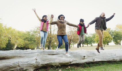 Glückliche, verspielte Familie, die sich an den Händen hält und von einem Baumstamm im Herbstpark springt - CAIF23197