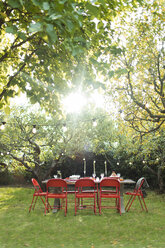 Sonne scheint über Bäume und Gartenpartytisch im Hinterhof - CAIF23241