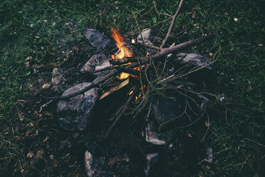 Branches in campfire - BLEF00272