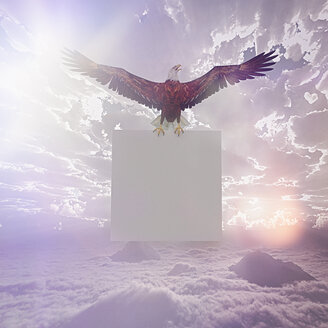 Adler fliegt am Himmel und hält ein leeres Schild - BLEF00465