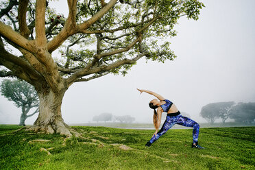 Mixed race woman exercising and stretching near tree - BLEF00634