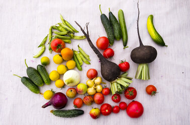 Variety of vegetables on table - BLEF00807