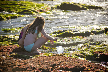 Crouching Caucasian girls exploring tide pools with net - BLEF00860