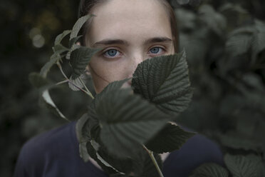 Gesicht eines kaukasischen Teenagers hinter Blättern - BLEF01039