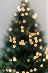 Defokussierter Weihnachtsbaum - BLEF01092