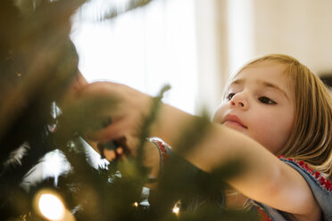 Kaukasisches Mädchen hängt Lichter am Weihnachtsbaum auf - BLEF01094