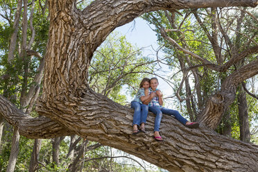 Caucasian girls hugging and sitting in tree - BLEF01115
