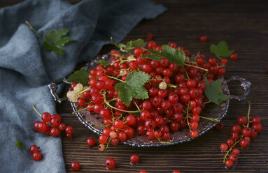 Rote Beeren und Blätter auf dem Tablett - BLEF01163