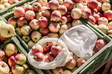 Stoffbeutel und Plastiktüte auf Kisten mit Äpfeln auf dem Wochenmarkt - STBF00300