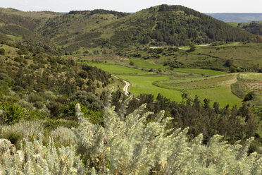 Italien, Sardinien, Blick über die Landschaft bei Pompu - FCF01736