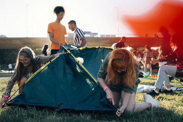 Freunde machen Zelt auf Rasen in Musikfestival im Sommer - MASF12202