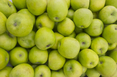 Stapel grüner Äpfel - BLEF01599