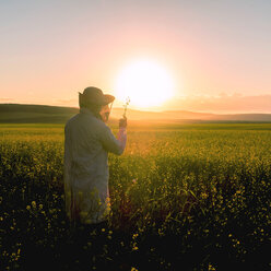 Frau untersucht Wildblumen auf einem Feld bei Sonnenuntergang - BLEF01621