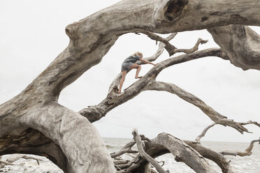 Kaukasisches Mädchen klettert auf Treibholz am Strand - BLEF01655