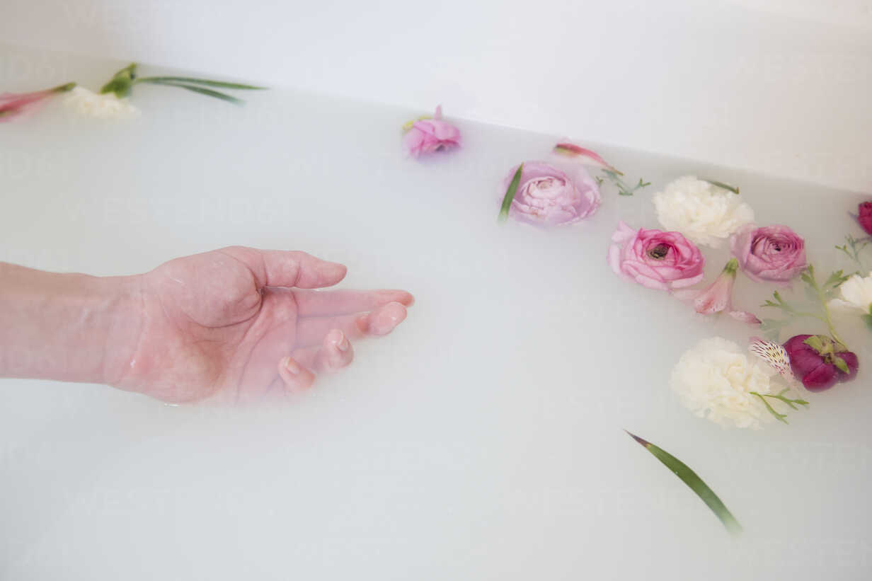 Bouquet of Roses. Bath with Rose Petals Stock Photo - Image of
