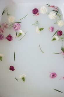 Flowers floating in milk bath - BLEF01790