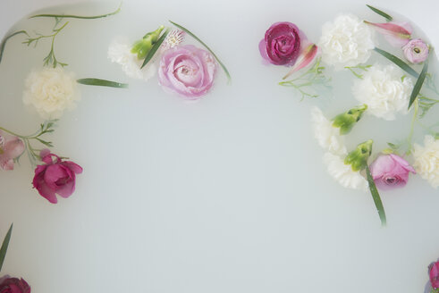 Flowers floating in milk bath - BLEF01791