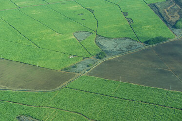 USA, Hawaii, Maui, Aerial view of green fields - RUNF01903