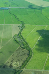 USA, Hawaii, Maui, Luftaufnahme von grünen Feldern - RUNF01904
