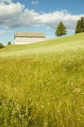 Österreich, Oberösterreich, Mühlviertel, Bauernhaus - AIF00677