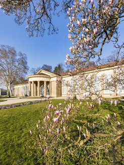 Deutschland, Stuttgart, Bad Cannstatt, Kurpark mit Magnolienblüte - WDF05249