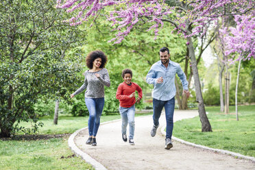 Glückliche Familie beim Laufen und Spielen in einem Park - JSMF01043