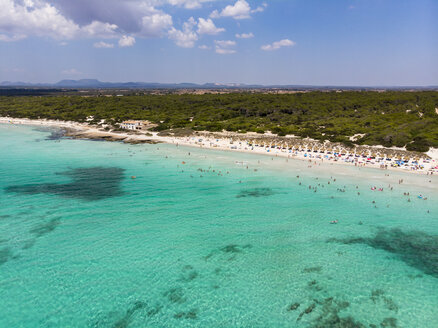 Spain, Balearic Islands, Mallorca, Sa Rapita, Ses Covetes, Aerial view of Playa es Trenc - AMF06974