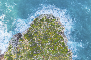 Portugal, Algarve, Sagres, aerial view of coast and sea - MMAF00902