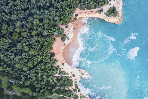 Portugal, Algarve, Lagoa, Praia da Corredoura, aerial view of forest, rocky coastline and sea - MMAF00926