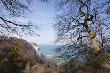 Deutschland, Mecklenburg-Vorpommern, Rügen, Nationalpark Jasmund, Kreidefelsen Koenigsstuhl - WIF03888