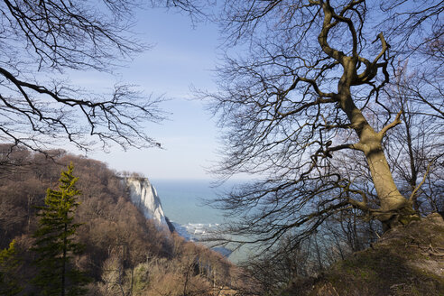 Deutschland, Mecklenburg-Vorpommern, Rügen, Nationalpark Jasmund, Kreidefelsen Koenigsstuhl - WIF03888