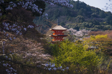 Japan, Kyoto, Blick auf den Kiyomizu-dera-Tempel - RUNF01916
