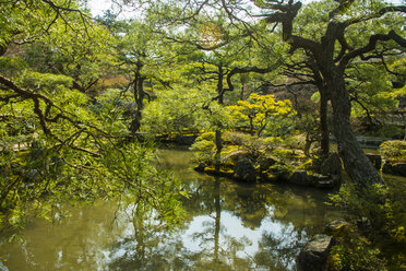 Japan, Kyoto, Natur rund um den Ginkaku-ji-Tempel - RUNF01922