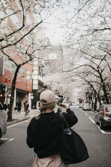 Japan, Tokio, Chidorigafuchi Park, Kirschblüte an der Sakura Road - LHPF00700