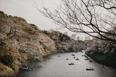 Japan, Tokio, Chidorigafuchi Park, Kirschbaumblüte und Menschen in Booten - LHPF00703