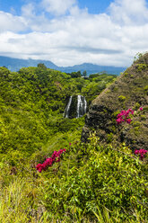 USA, Hawaii, Kauai, Opaekaa Falls - RUNF01932