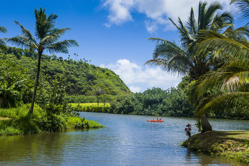 USA, Hawaii, Kauai, Wailua-Fluss - RUNF01933