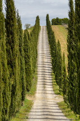 Italy, Tuscany, country lane with cypresses - STSF01961