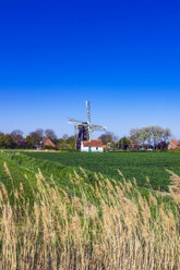 Zeeland, Domburg, windmill and town - THAF02494
