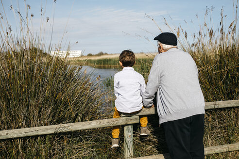 Back view of little boy and his grandfather looking at a lake - JRFF03175