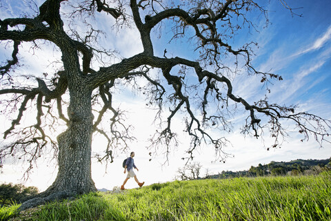 Kaukasischer Mann geht auf einem Feld in der Nähe eines Baumes, lizenzfreies Stockfoto