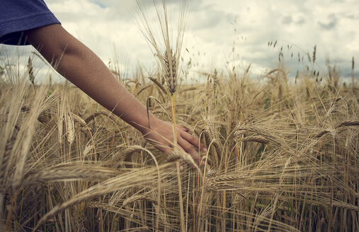 Arm eines kaukasischen Jungen in einem Weizenfeld - BLEF02596