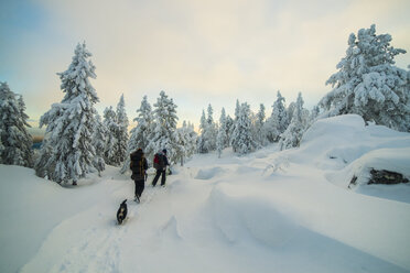 Caucasian men hiking in snowy forest with dog - BLEF02673