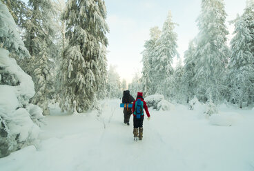 Caucasian couple hiking in snowy forest - BLEF02676