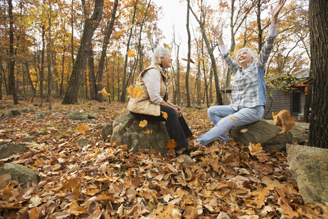 Kaukasische Frauen spielen mit Herbstblättern, lizenzfreies Stockfoto