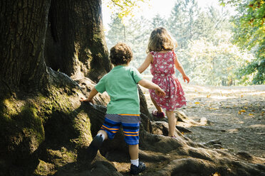 Caucasian brother and sister walking on tree roots - BLEF02866